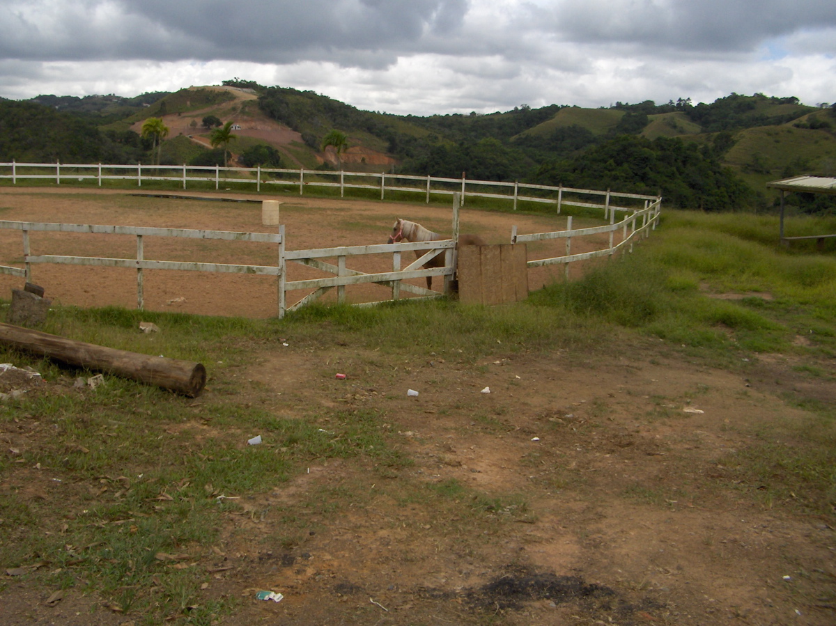 HPIM0223.JPG