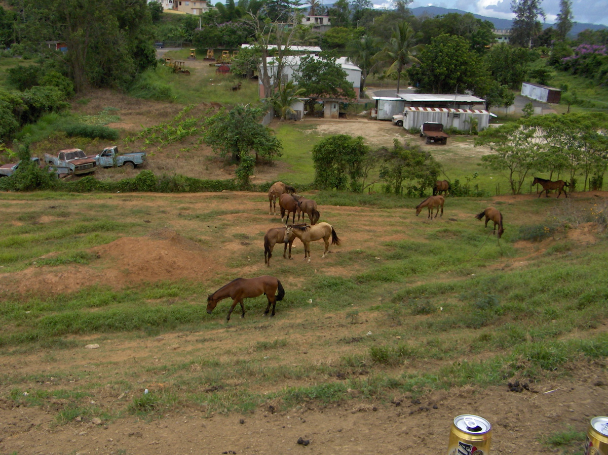 HPIM0225.JPG
