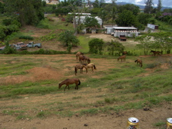 HPIM0225.JPG