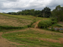 HPIM0226.JPG